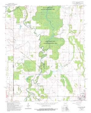 Cotton Plant USGS topographic map 35091a3