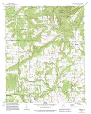 Bee Branch topo map