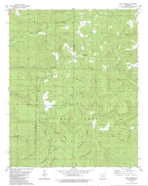 Lost Corner USGS topographic map 35092e7