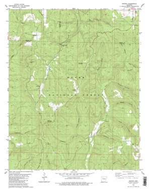 Smyrna USGS topographic map 35092f8