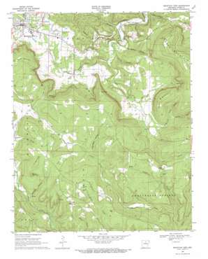 Mountain View USGS topographic map 35092g1