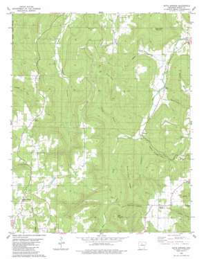 Witts Spring topo map