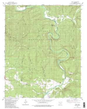 Treat USGS topographic map 35093e2