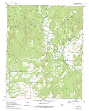 Nicut USGS topographic map 35094e5