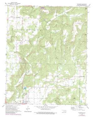 Blackgum USGS topographic map 35094e8