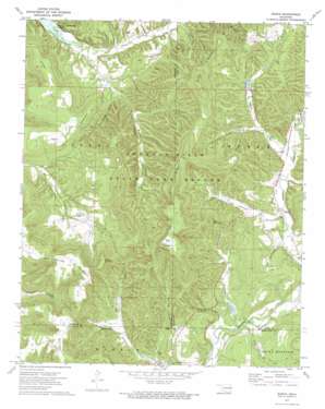 Bunch topo map