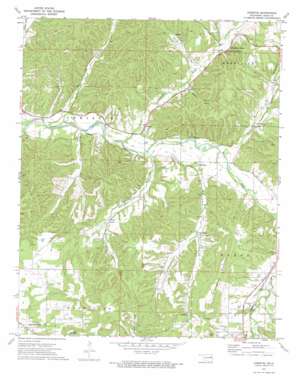 Christie USGS topographic map 35094h6