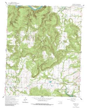 Raiford USGS topographic map 35095c7