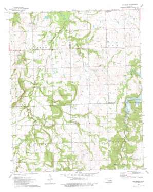 Okfuskee USGS topographic map 35096e2