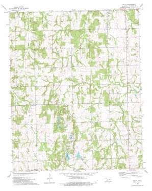Welty topo map