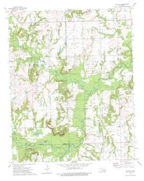 Nuyaka USGS topographic map 35096f2