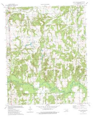 Ritts Junction topo map