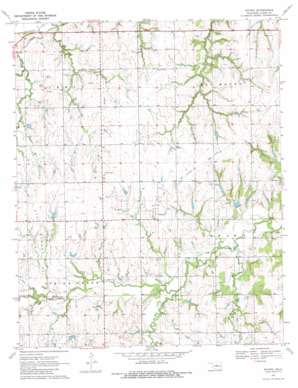 Navina USGS topographic map 35097g5