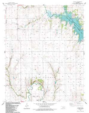 Alfalfa topo map