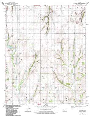 Eakly NE USGS topographic map 35098d5