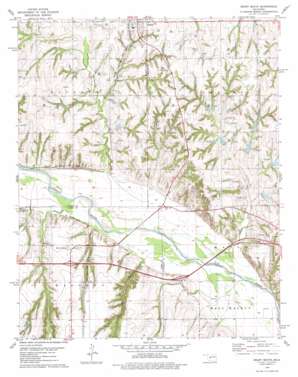 Geary South topo map