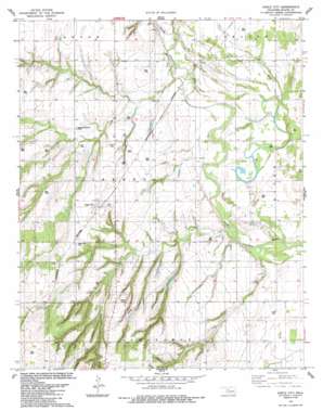 Eagle City USGS topographic map 35098h5