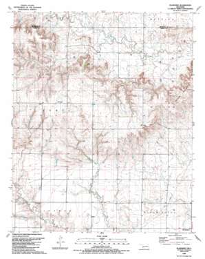 Plainview USGS topographic map 35099a6