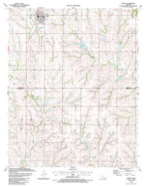 Leedey USGS topographic map 35099g3