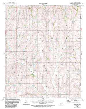 Leedey SW USGS topographic map 35099g4