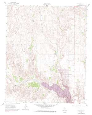 Roach Ranch USGS topographic map 35100a8