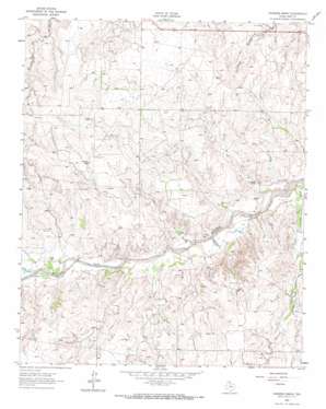 Hudgens Ranch topo map