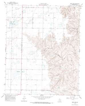Deep Lake USGS topographic map 35100c8