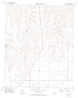 Pampa Nw topo map