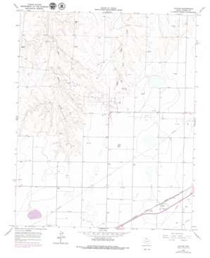 Cuyler USGS topographic map 35101d3