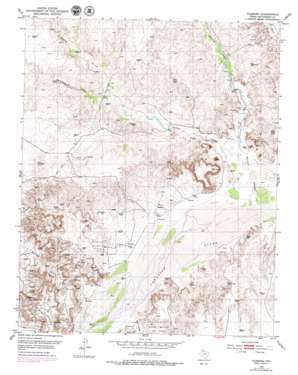 Plemons USGS topographic map 35101g3