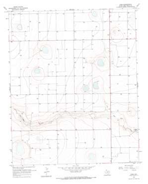 Ford topo map