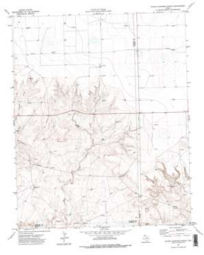 Bivins Channing Ranch topo map
