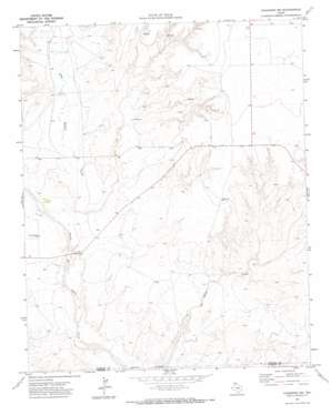 Channing Nw topo map