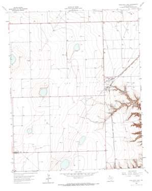 Stallwitz Lake USGS topographic map 35102g1