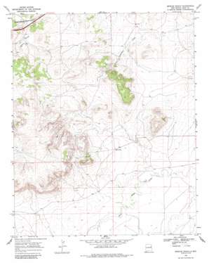 Briscoe Ranch topo map