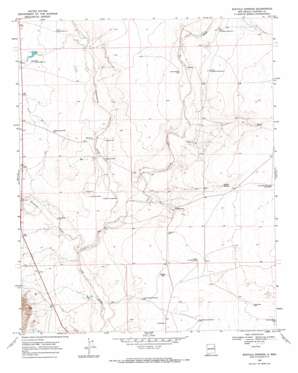 Buffalo Springs USGS topographic map 35103f6