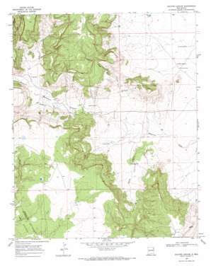 Salitre Canyon USGS topographic map 35103f7