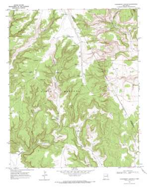 Chinaberry Canyon topo map