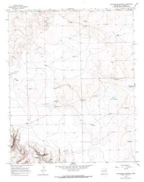 Cottonwood Springs USGS topographic map 35103h4