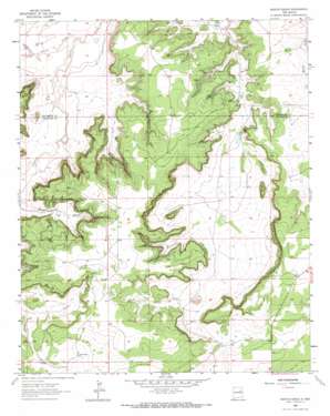 Neafus Ranch USGS topographic map 35104b3