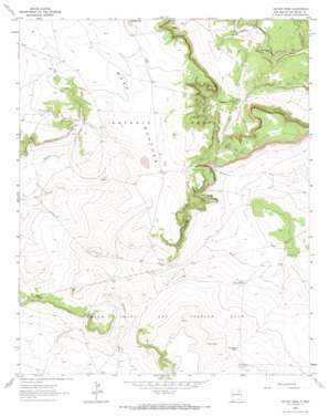 Cactus Tank USGS topographic map 35104c7