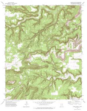 Canon Olguin USGS topographic map 35104e5