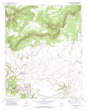Arroyo Alamocito USGS topographic map 35104f3