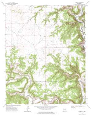 Alamito USGS topographic map 35104g4