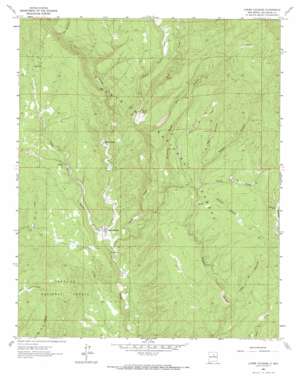 Lower Colonias USGS topographic map 35105e5