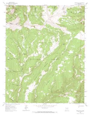 Pecos Falls USGS topographic map 35105h5