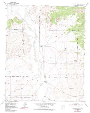 Benavidez Ranch topo map