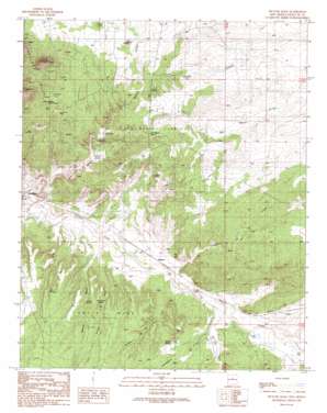 Picture Rock USGS topographic map 35106d1