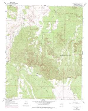 Cerro Conejo USGS topographic map 35106d7