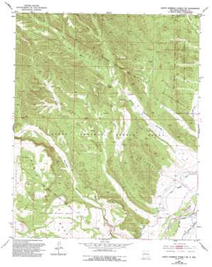 Santo Domingo Pueblo SW USGS topographic map 35106e4